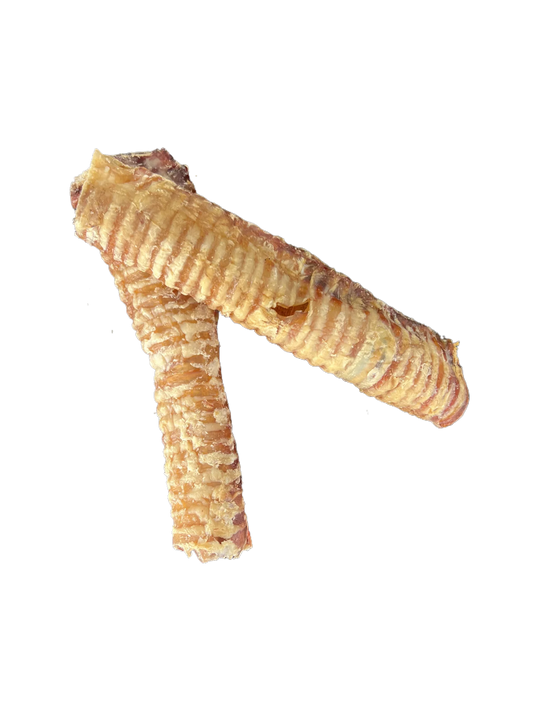 Large Beef Trachea £2.00 each_
