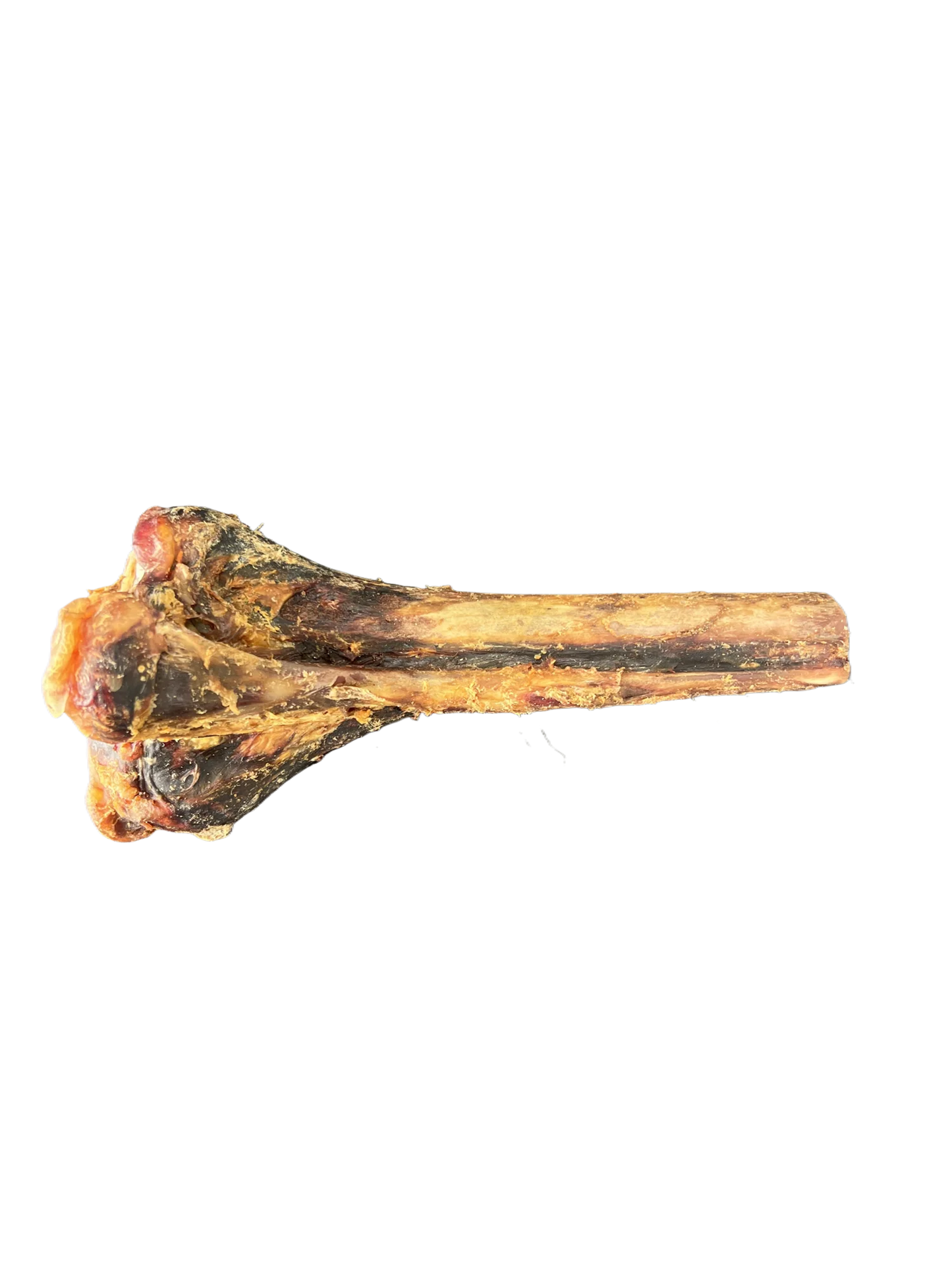 Ostrich Metatarsus Bone £7.99 each