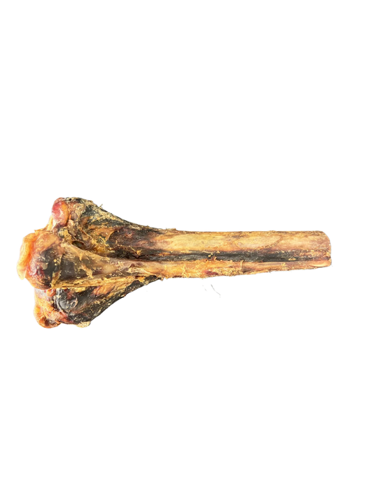 Ostrich Metatarsus Bone £7.99 each