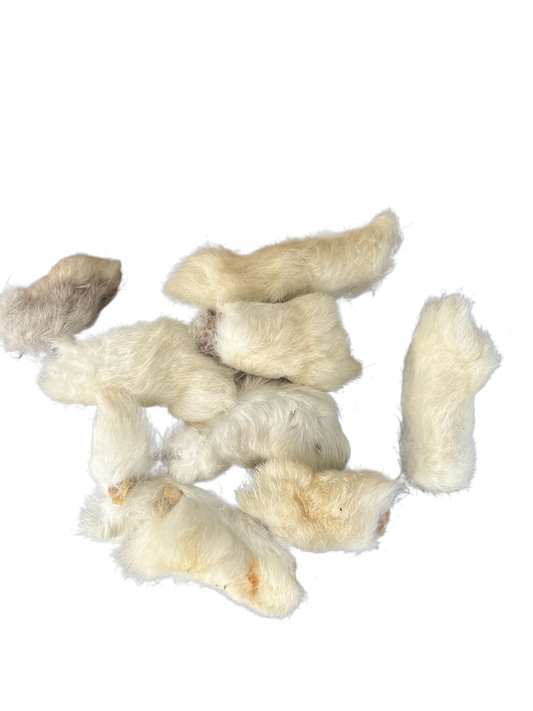 Rabbits feet £3.00 per 100 grams