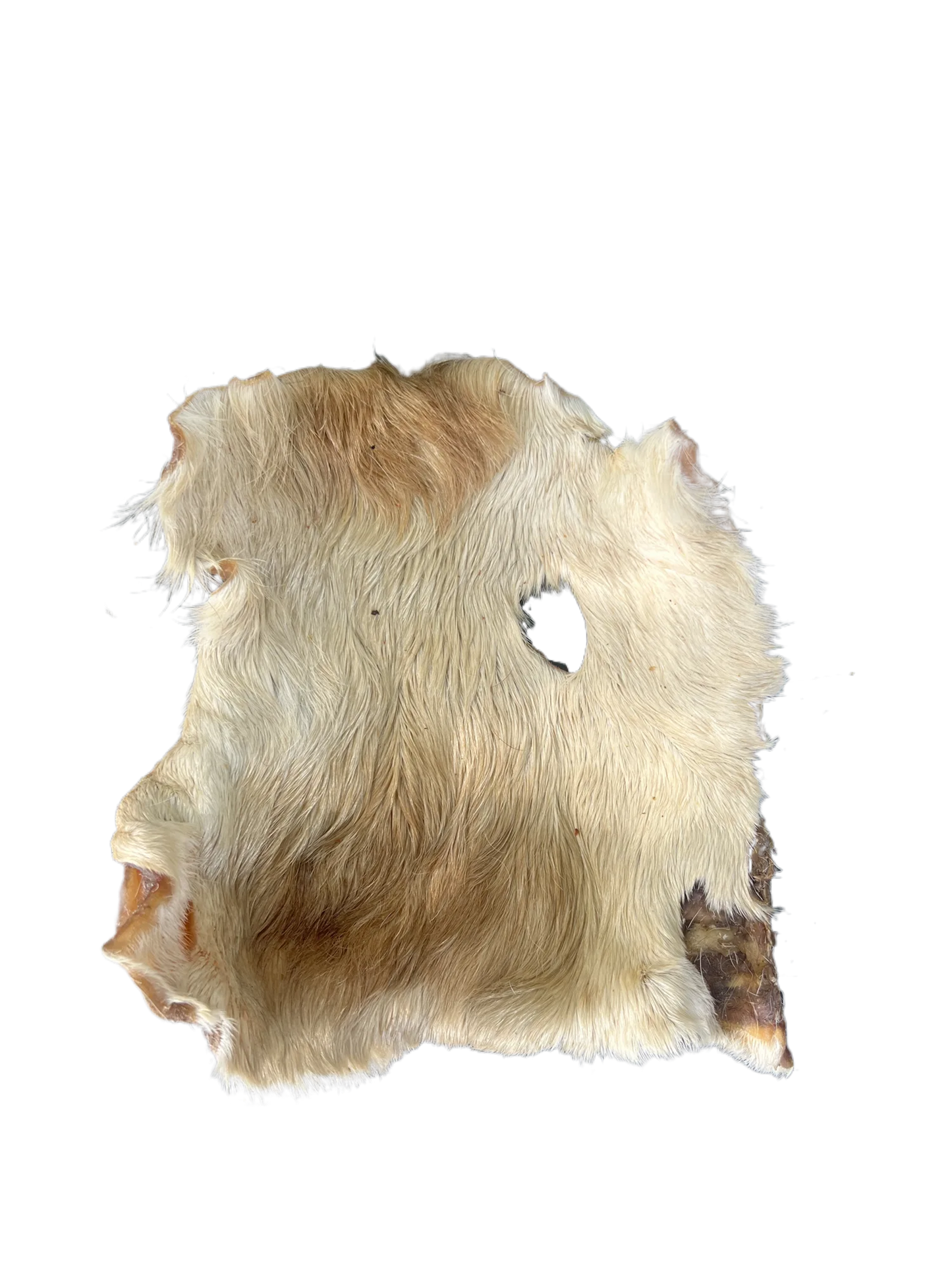 Large Beef Skin with hair £4.50 each_