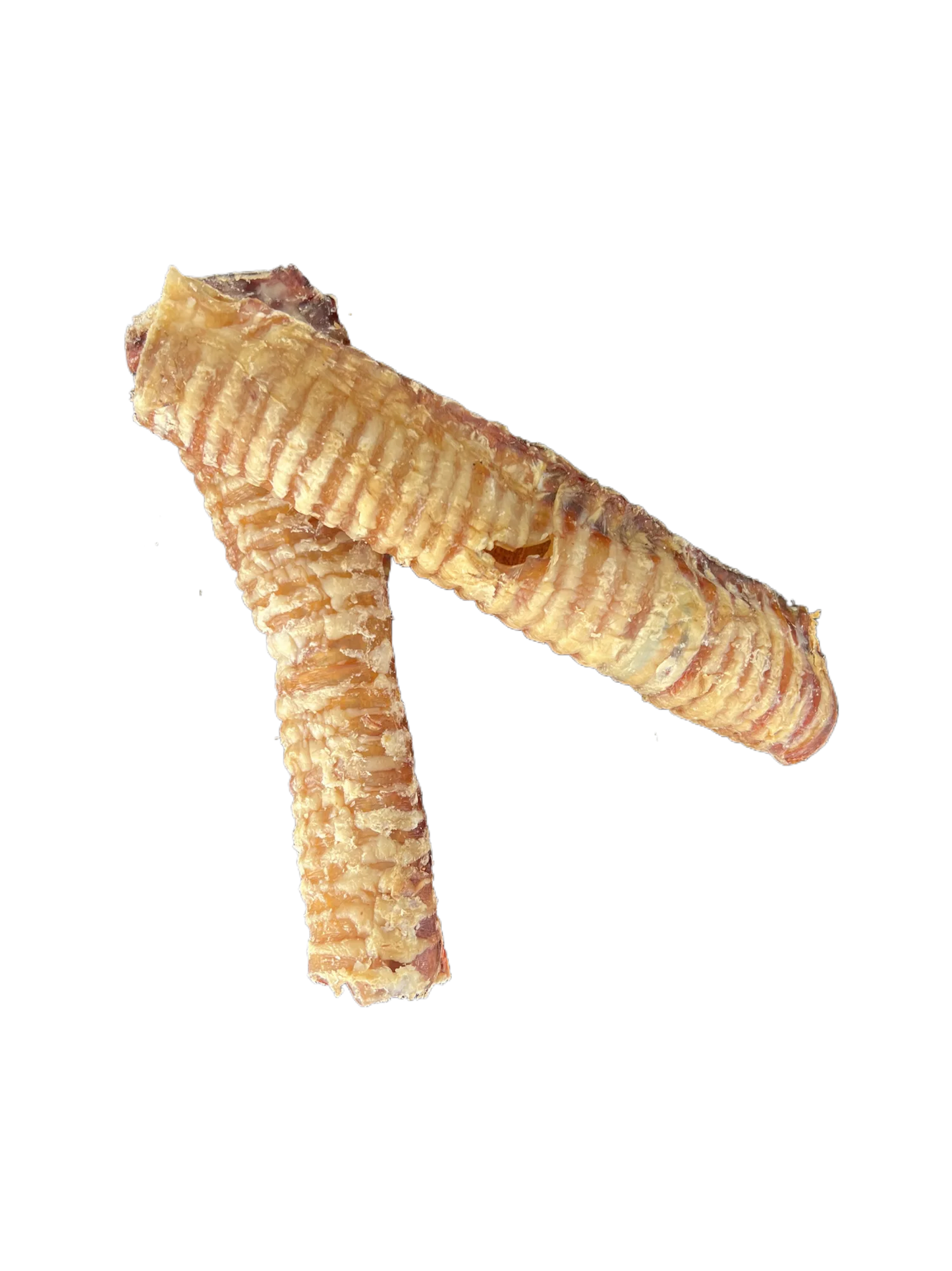 Large Beef Trachea £2.00 each_